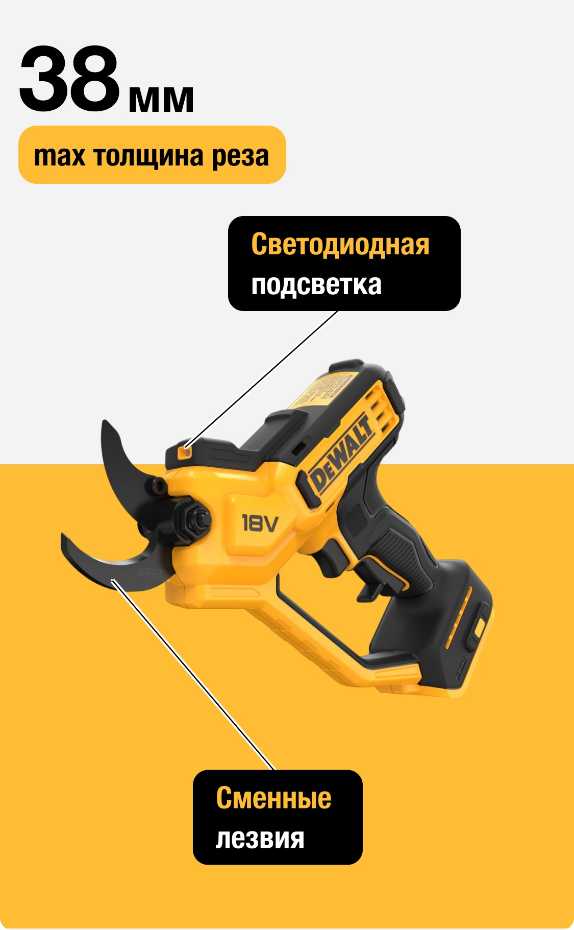 DCMPP568